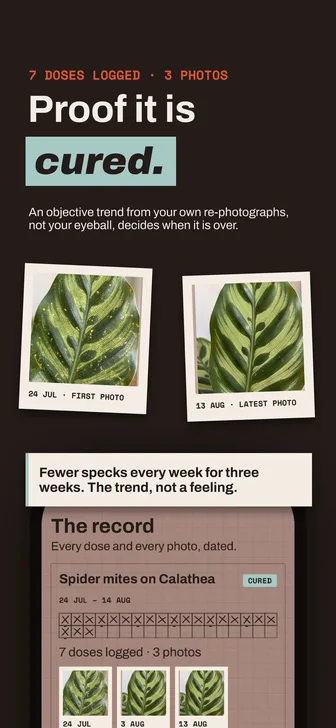 Houseplant SOS: proof it is cured